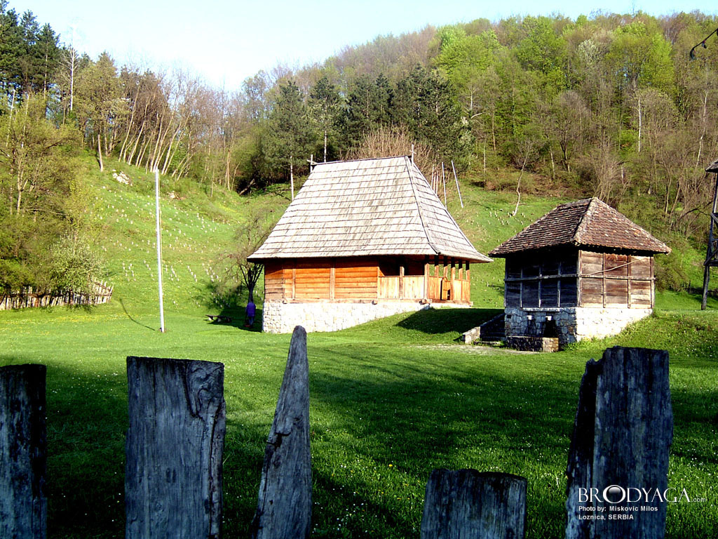 Loznica